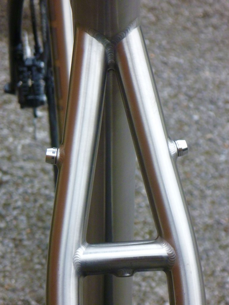 Kinesis GF_Ti Disc – seatstays.jpg