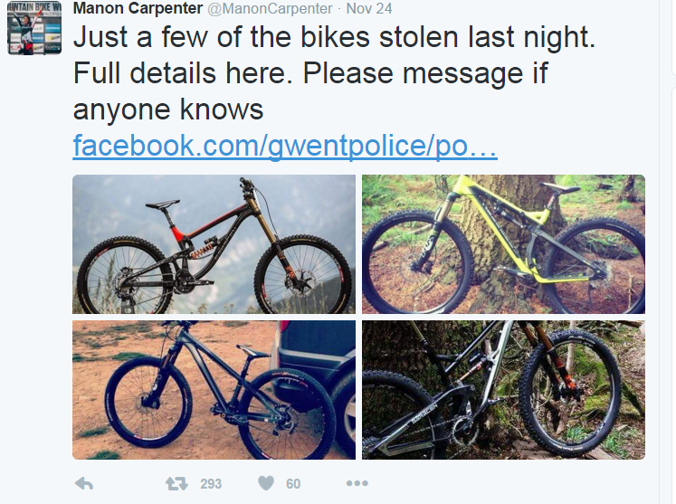 Manon Carpenter’s stolen bicycles