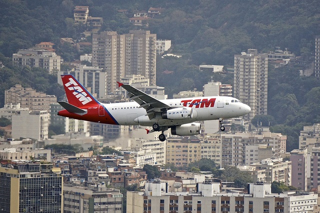 Tam Airline Airbus over Rio de Janeiro.jpg