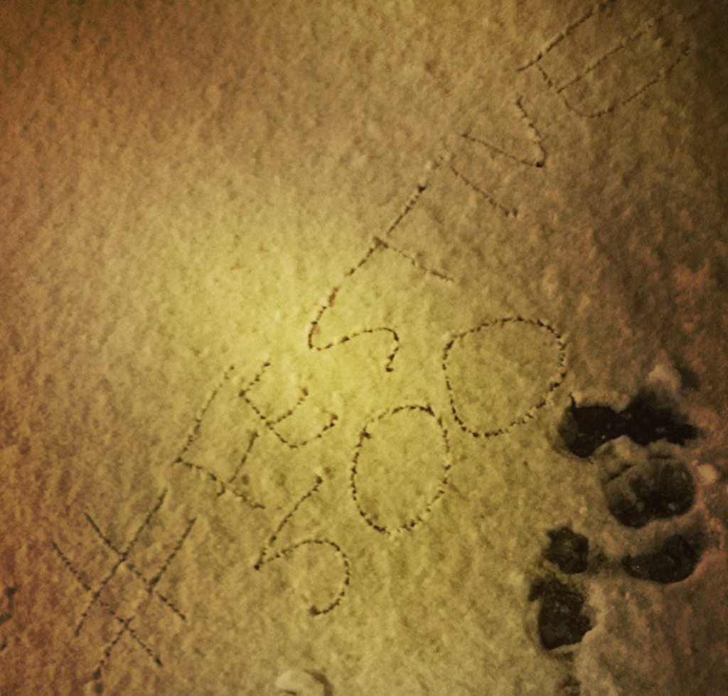 500 in snow.png