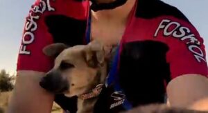Abandoned puppy (James McHugh YouTube still).JPG