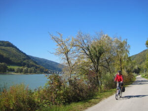Down the Danube - Sunshine on the Danube cycle way