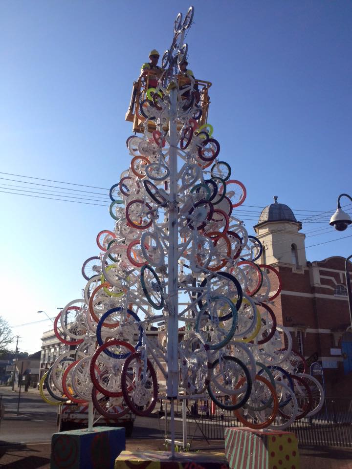 Lismore bike tree