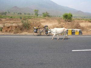 Globe Cycle India.jpg