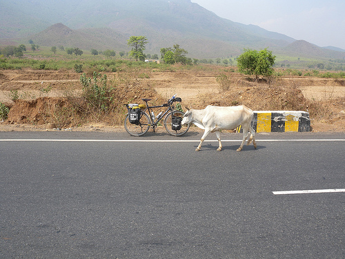 Globe Cycle India.jpg