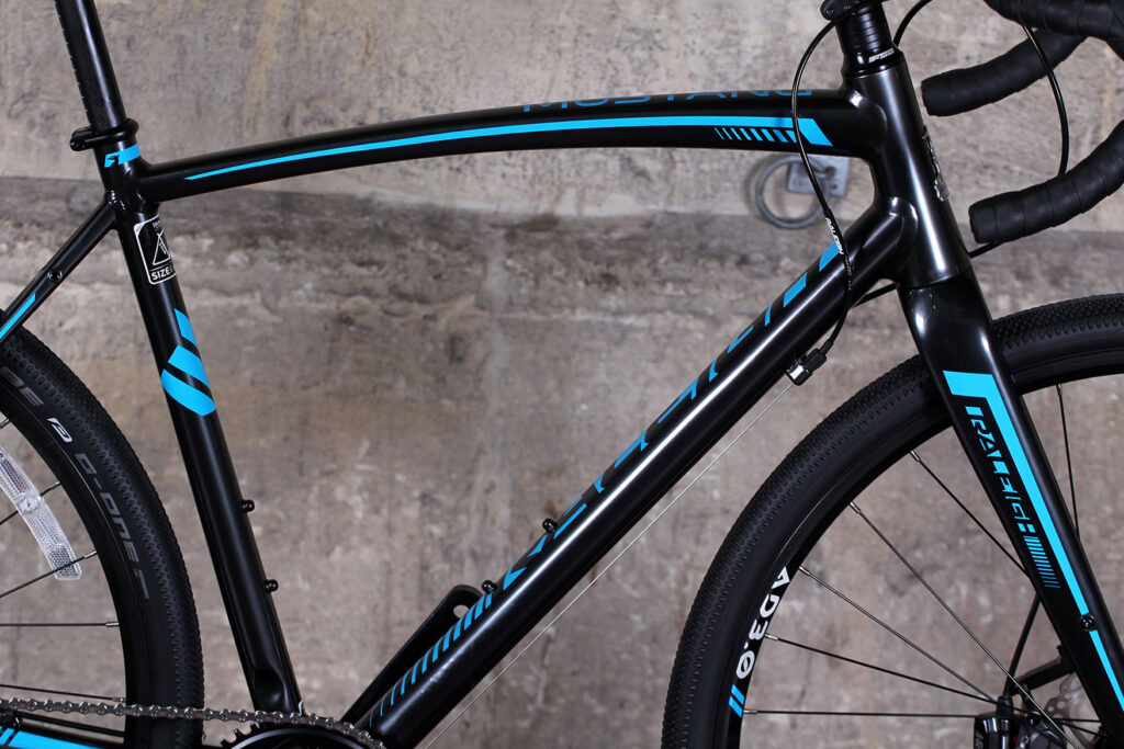 Raleigh Mustang Elite – frame detail.jpg