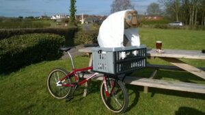ET and bike (picture copyright Dave Preece).jpg
