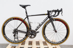 dani king bike .jpg