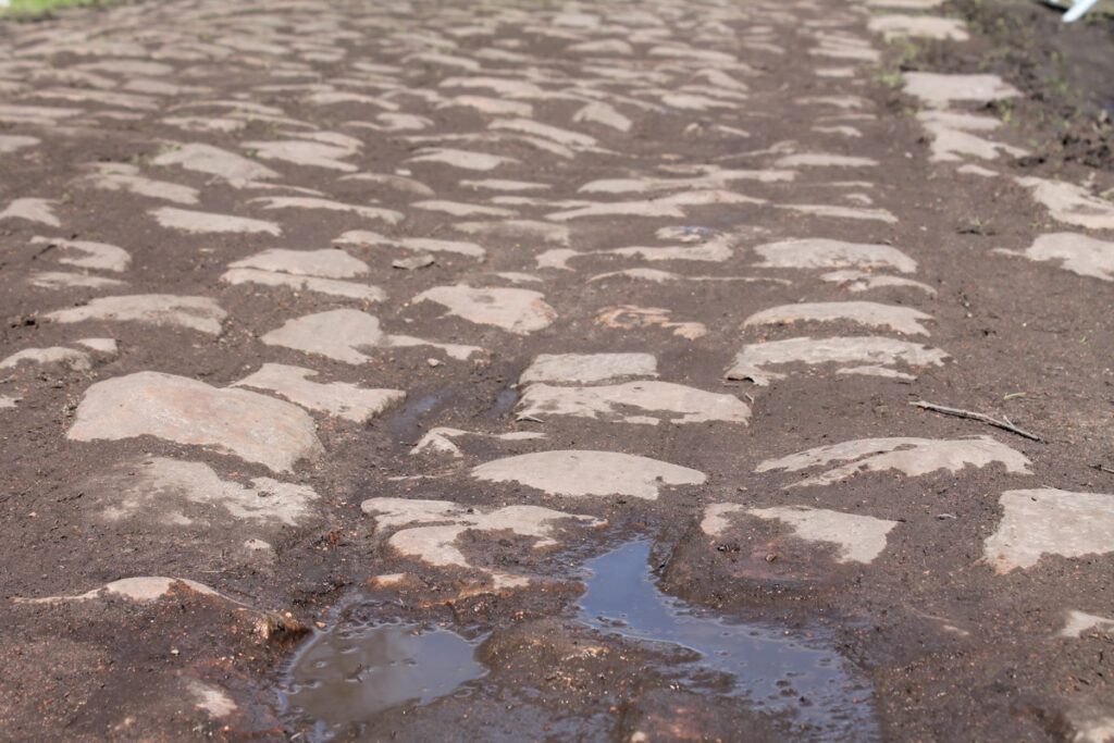 Paris Roubaix 2016 Arenberg 3 &ndash; 2.jpg
