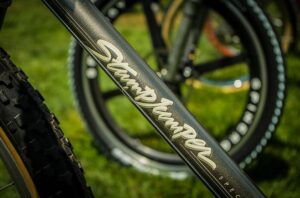 1982 Specialized Stumpjumper downtube logo.JPG