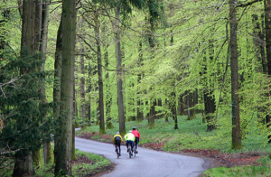 Forest of Dean (image via Wheels in Wheels website).png