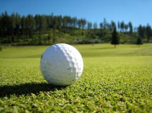 Golf ball (licensed CC BY SA 2.0 by Silas Grok on  Twitter).JPG