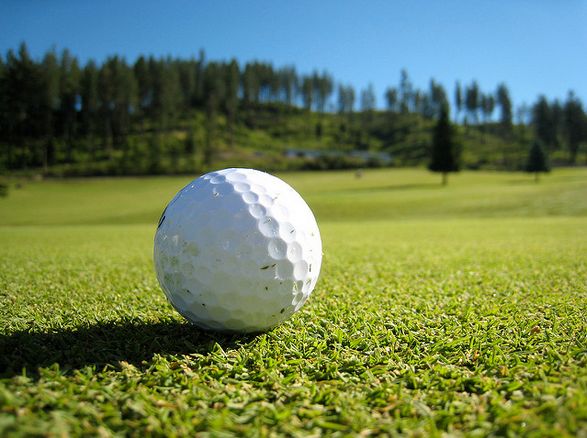 Golf ball (licensed CC BY SA 2.0 by Silas Grok on  Twitter).JPG