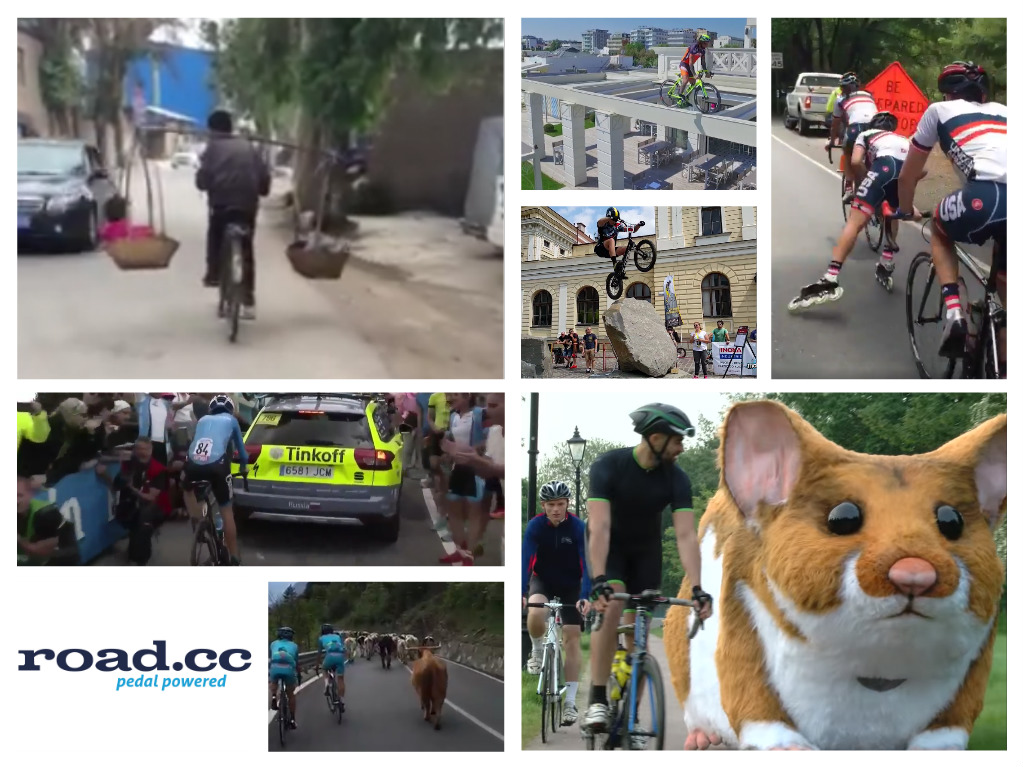 video round-up 2016_05_28.jpg