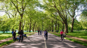 Existing bike paths in Hyde Park are not suitable for increased use, say Royal Parks (CC licenced image by Joe Dunckley:Flickr)