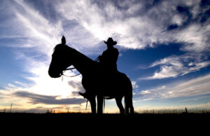 Cowboy (licensed CC BY 2.0 by Roderick Elme, Tourism South Dakota).jpg