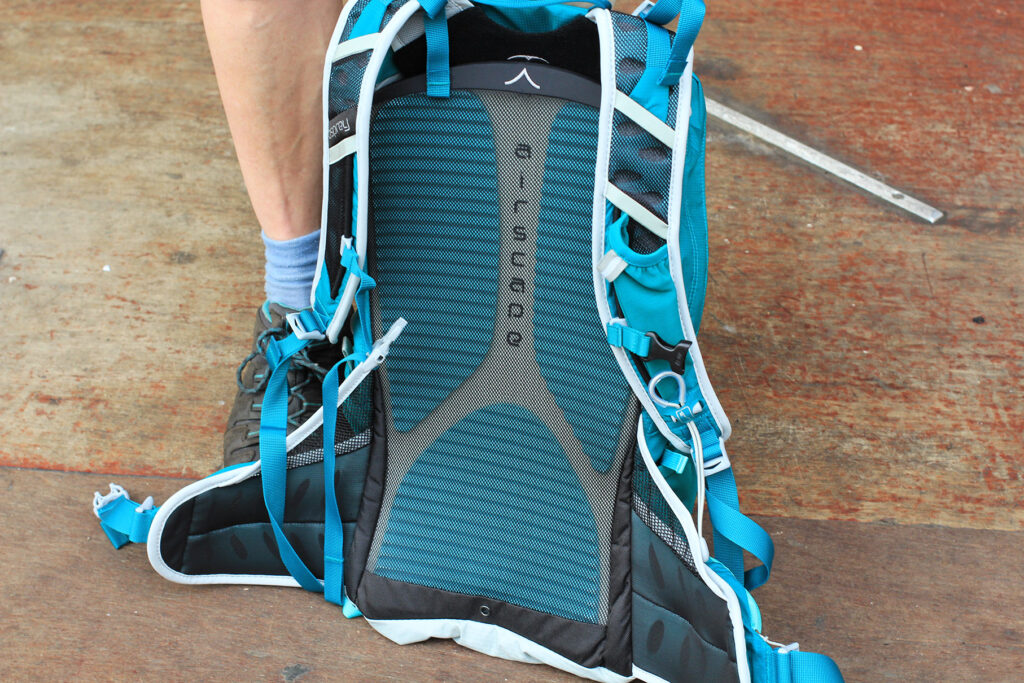 Osprey Tempest 20 Womens rucksack – back padding and mesh.jpg