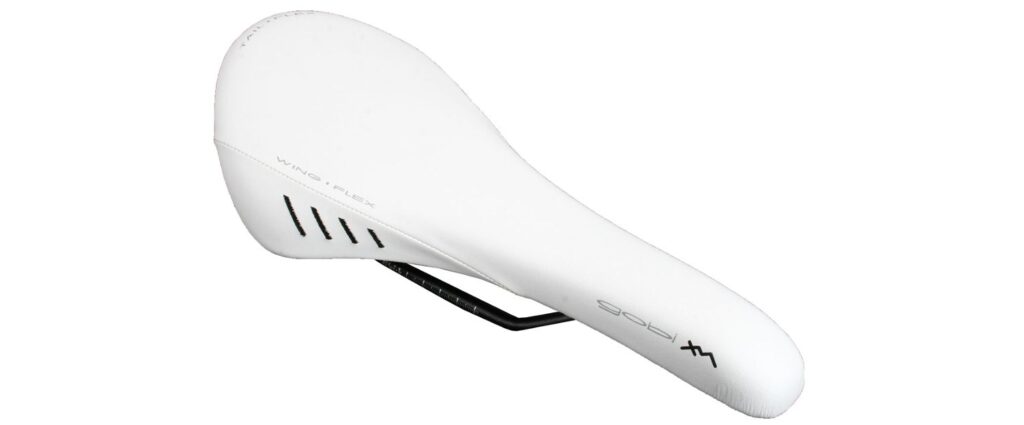 Fizik Gobi XM Manganese saddle.jpg
