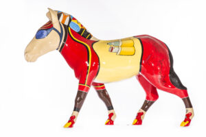 Zycling Zebra_Garmin 1.jpg