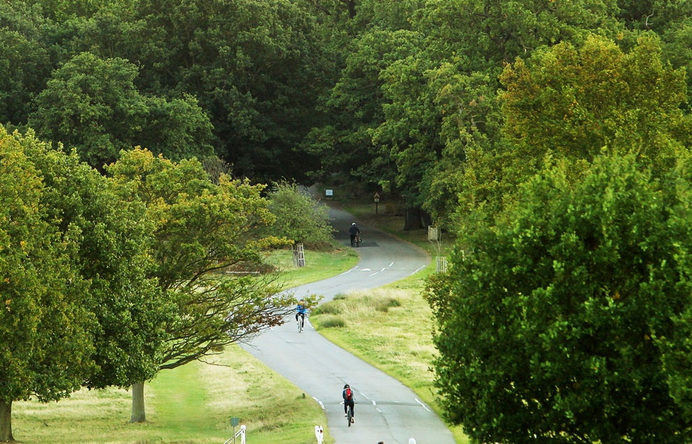 Richmond Park : Ham Common