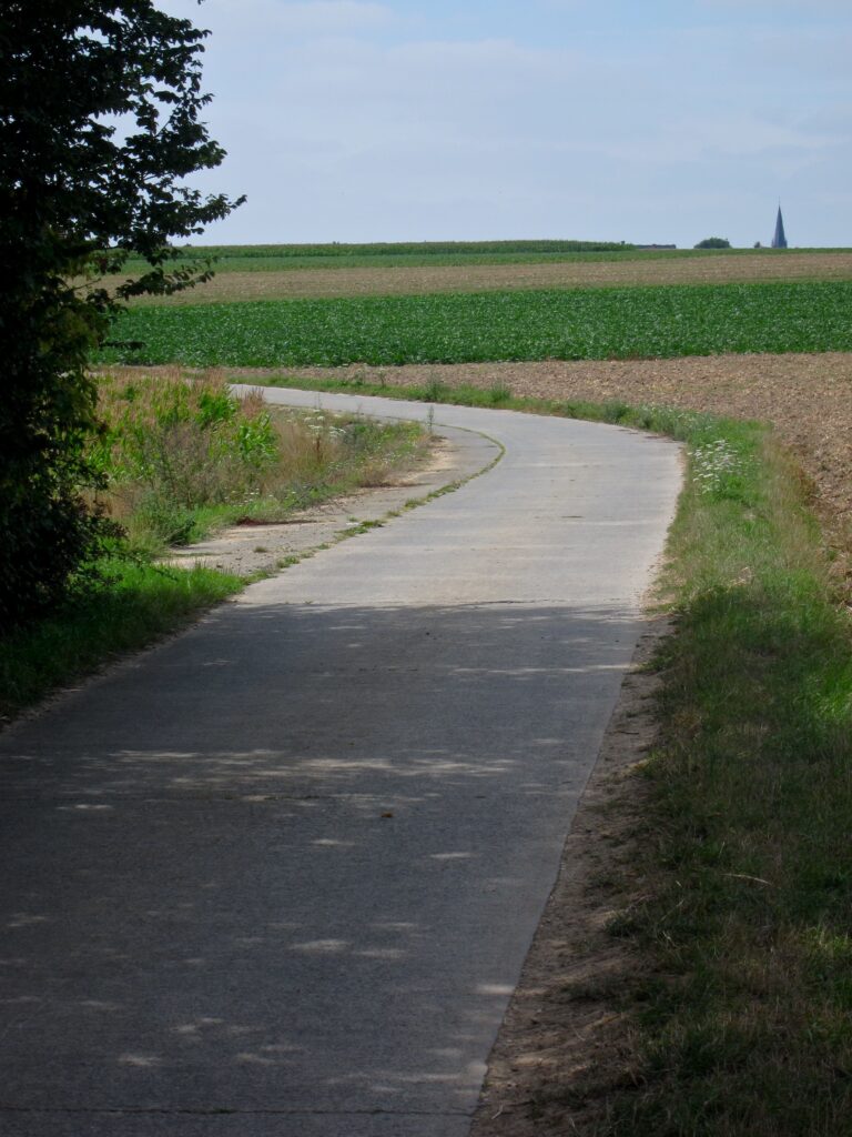 FlandersSummer – Bend.jpg