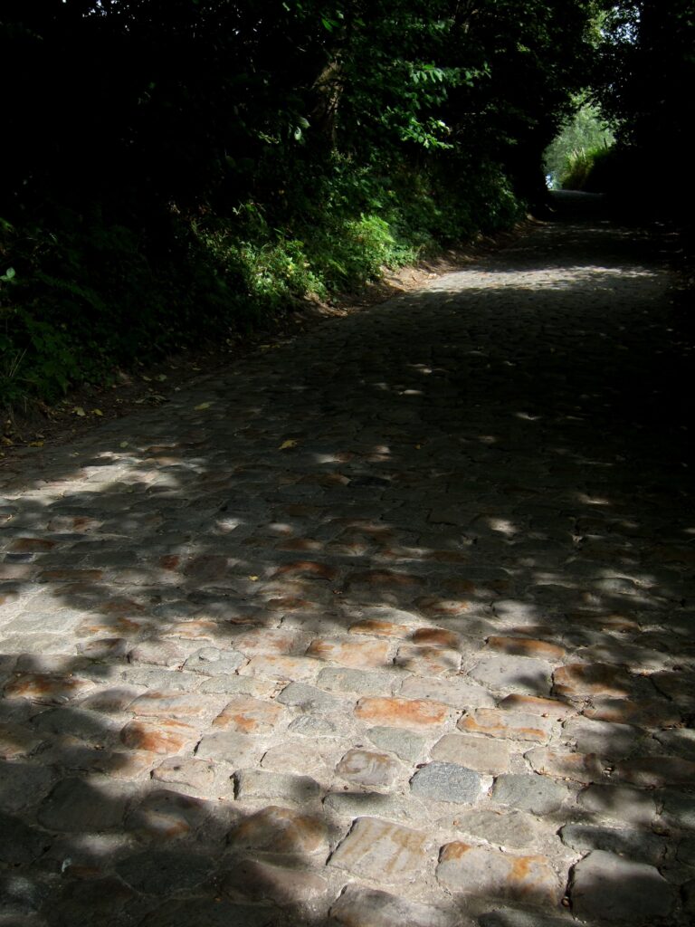 FlandersSummer &ndash; Dappledberg.jpg