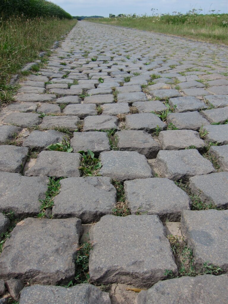 FlandersSummer &ndash; DryCobbleGaps.jpg