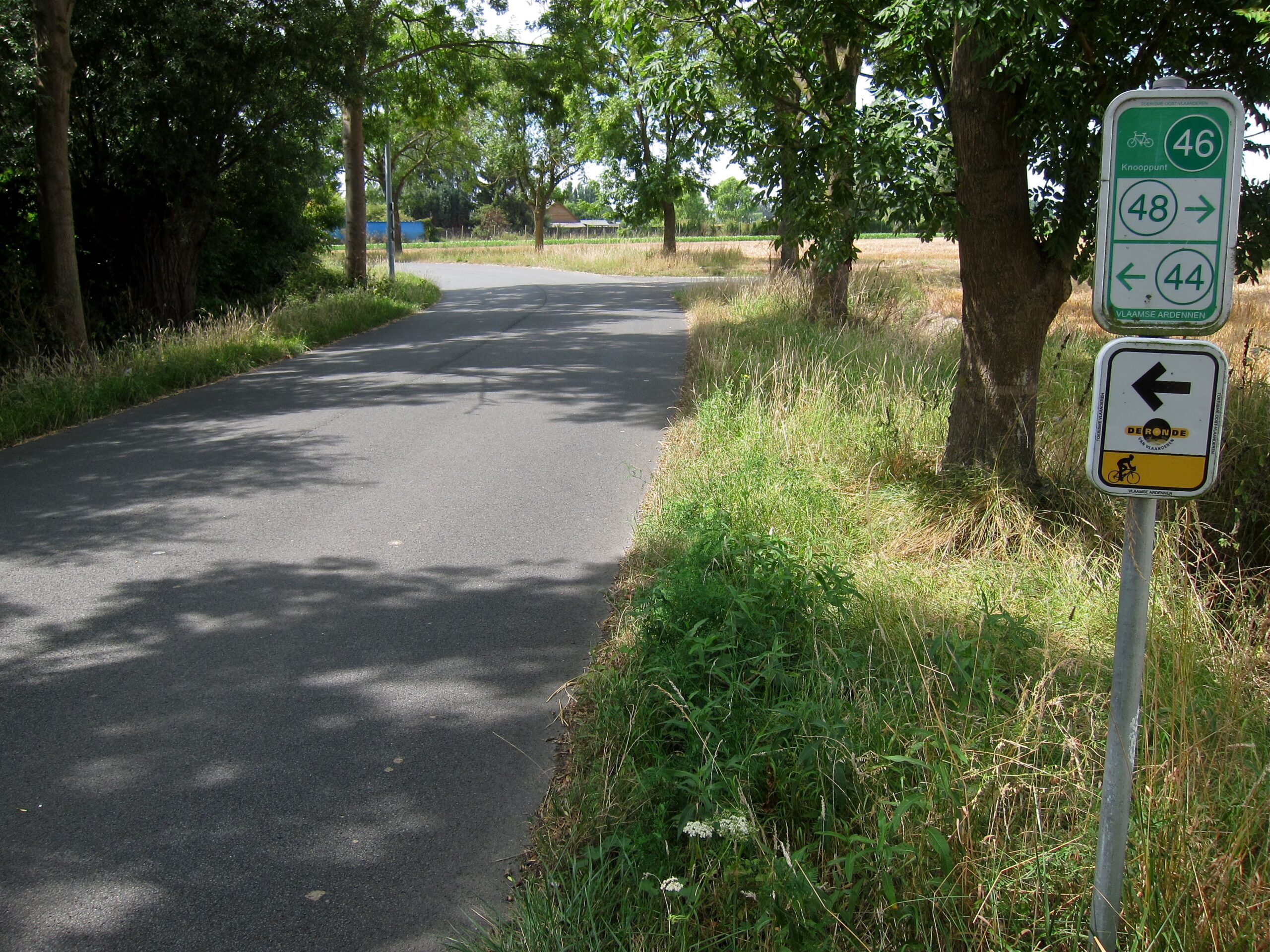 FlandersSummer – YellowSign