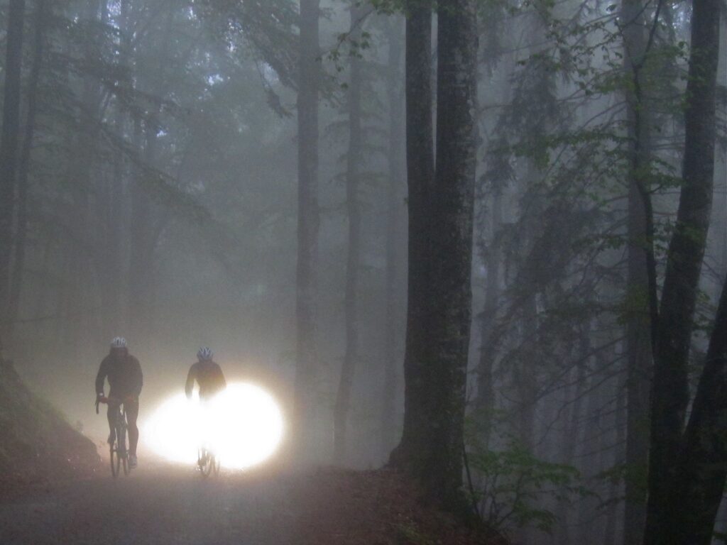 Resistance Recce – Woods Lights.jpg