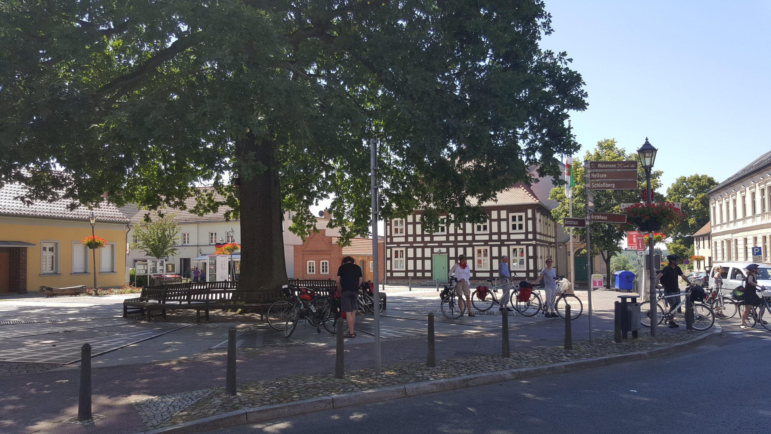 Great Oak in Biesenthal
