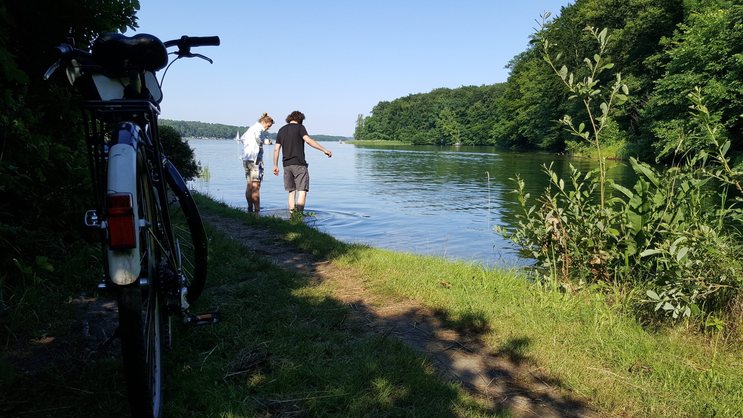 Werbellinsee