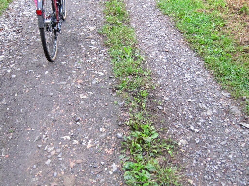 Here be Dragons &ndash; More Gravel.jpg