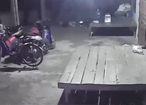 Thailand bicycle ghost video (source Facebook).PNG