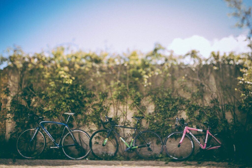 bikes.jpg