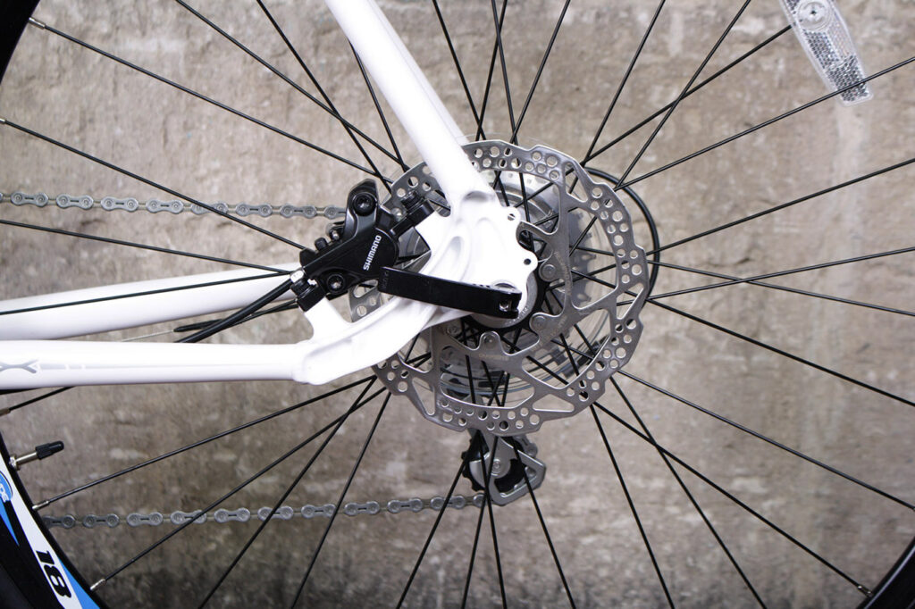 Roux Foray – rear disc.jpg