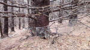 Barbed wire on Ton Pentre trail (picture Afan Valley Bike Shed on Facebook).jpg
