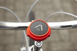 beeline  5.jpg