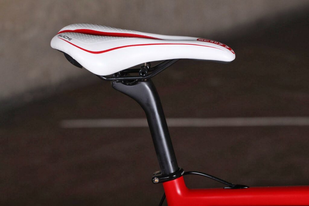 Estrella Camino Liso – saddle and post.jpg