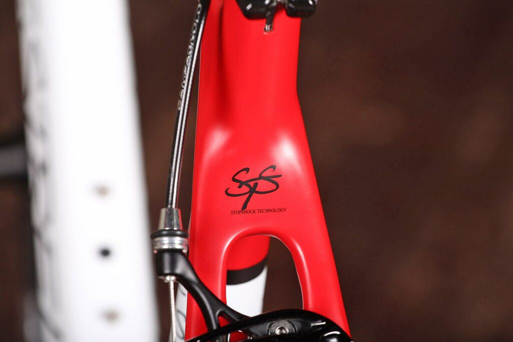 Estrella Camino Liso – seat stay.jpg