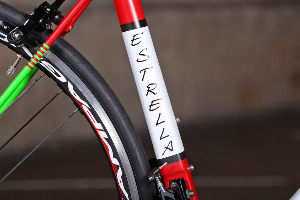 Estrella Camino Liso – seat tube detail.jpg