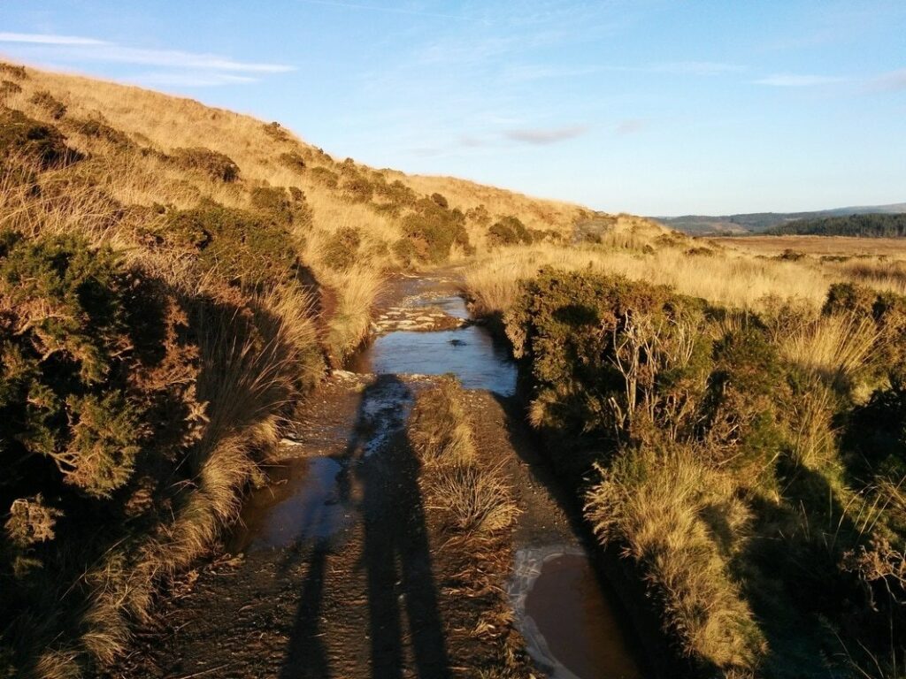 Racing Collective Crossduro – Bog.jpg