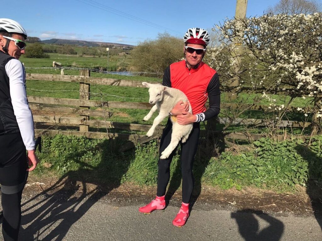 Brownlee lamb rescue.jpg