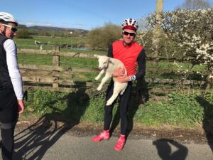 Brownlee lamb rescue.jpg