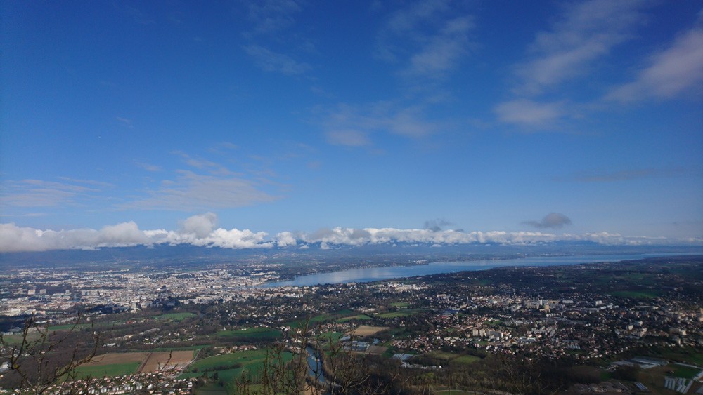 geneva 4.jpg