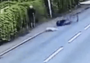 cyclist taken out by dog.png