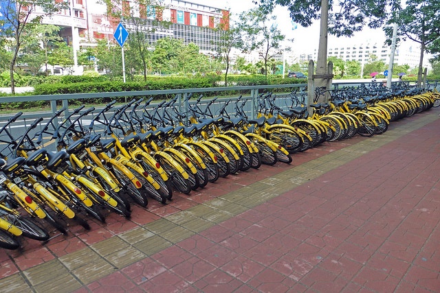 Bike share in Shenzhen City, China (CC licensed by Chris via Flickr).jpg