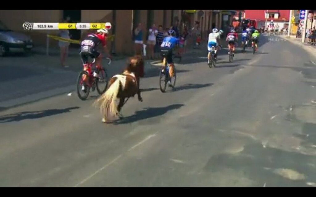 Pony joins in at the Tour of Poland.jpg