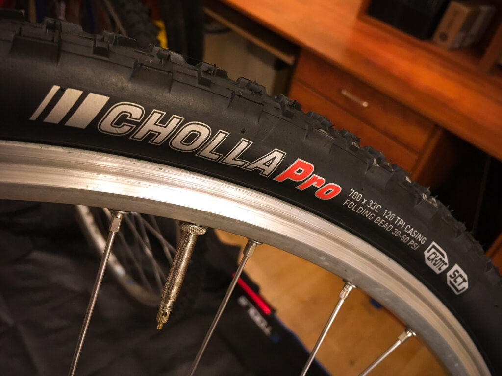 Cholla Pro 1.jpg