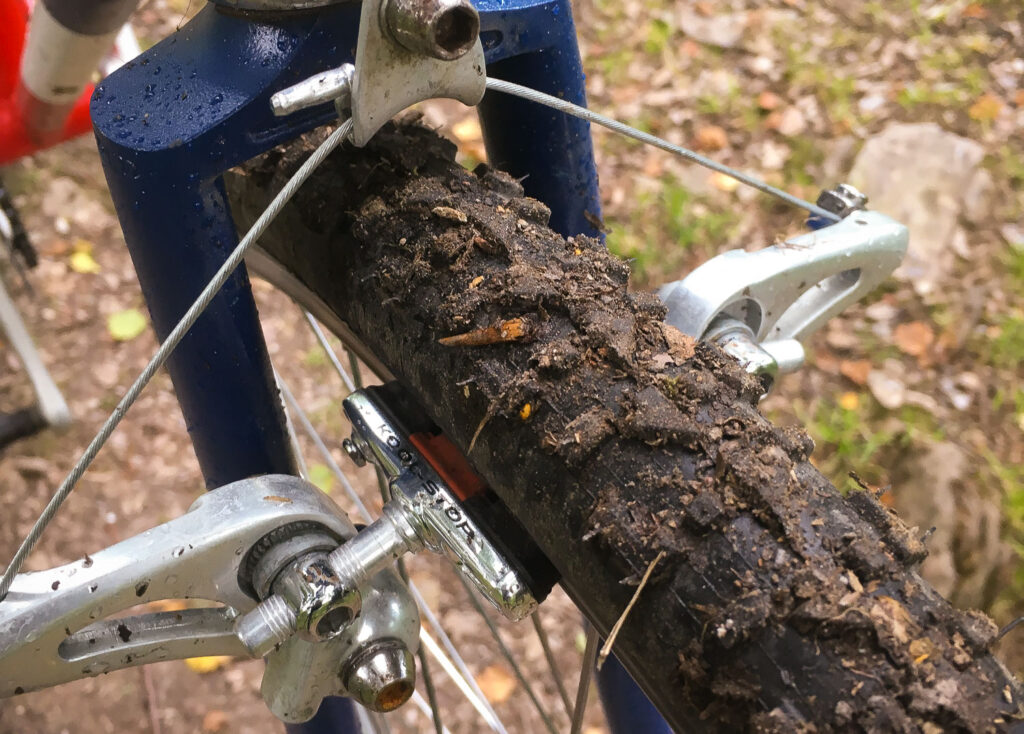 Cholla Pro 3.jpg
