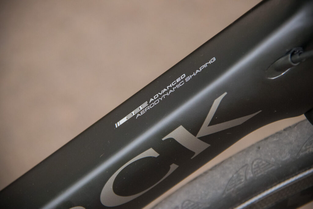 Storck Fascenario.3 Platinum – down tube detail.jpg
